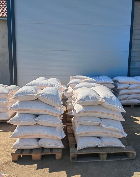 Vând Porumb uscat gata pus in saci ofer si transport la domiciliu