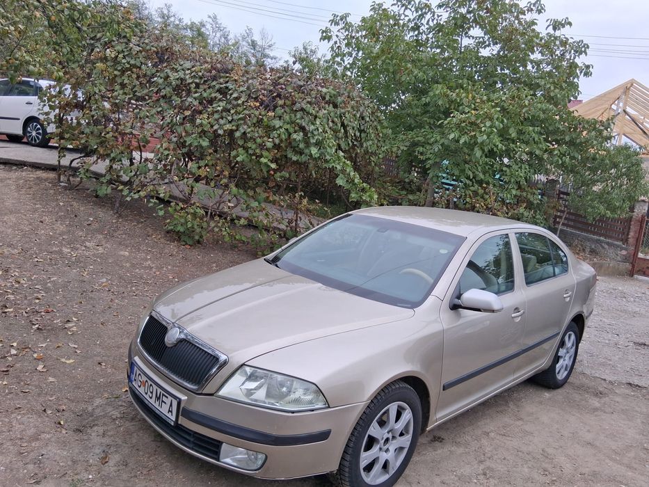 Skoda Octavia 1.9 TDi / 2006