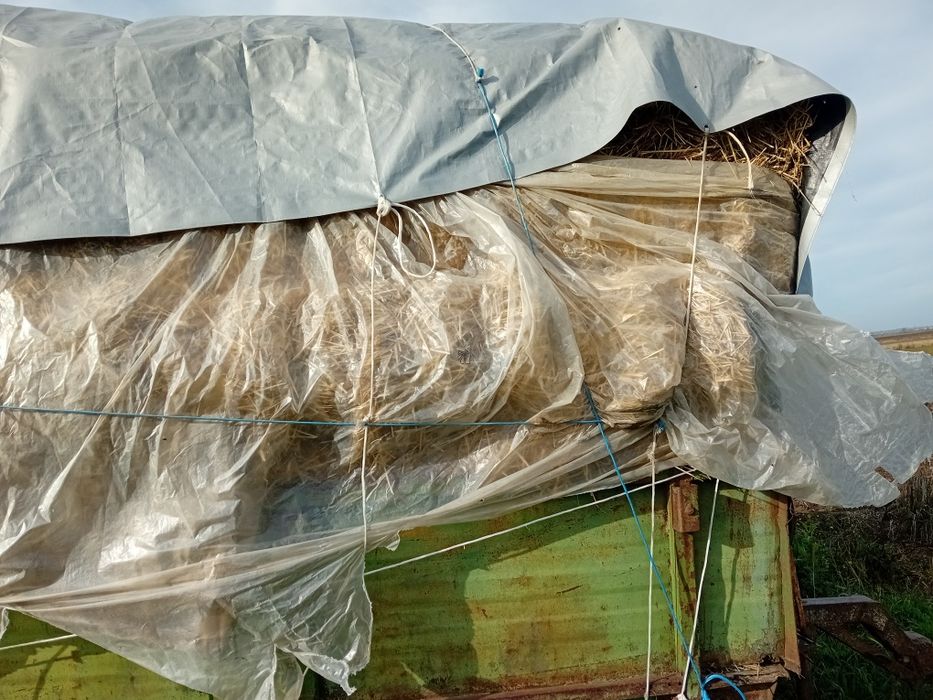 Baloti paie ,  8 lei