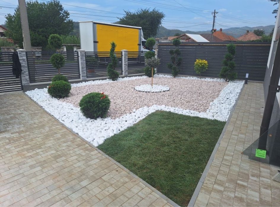 Copacii ornamentali plante ornamentale