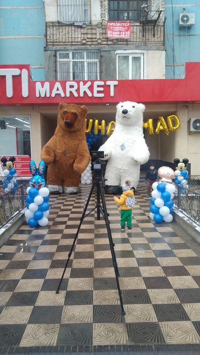 Ayiqlar Oq va Jigarang