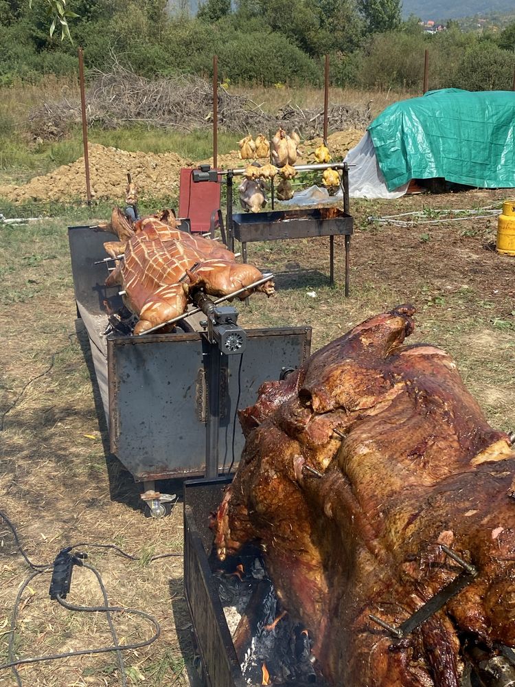 Protap de porc, vitel, berbecut, oaie, pui, curcani