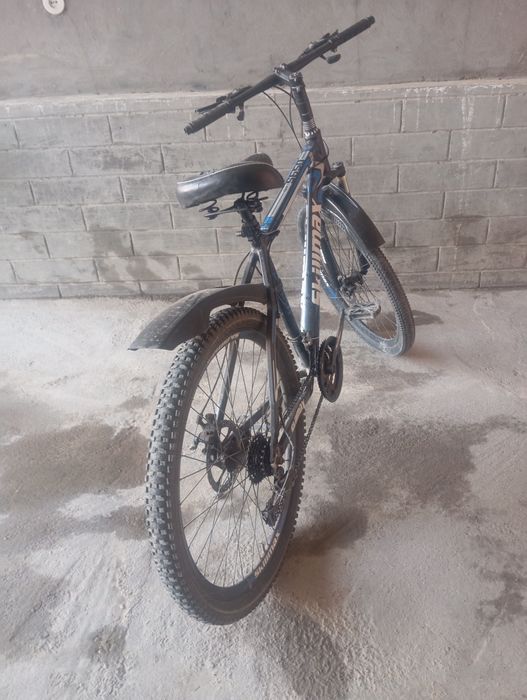 Velik sotiladi aybi yo