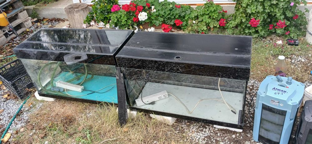 Два аквариума за рибки