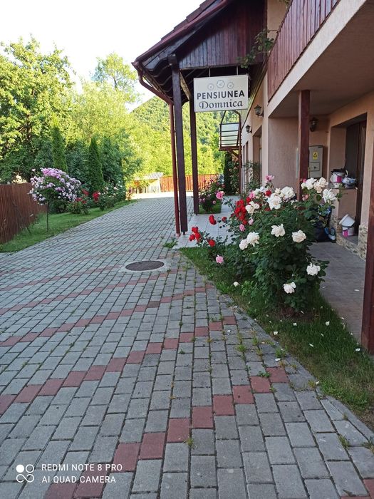 Inchiriez Pensiune pt Revelion