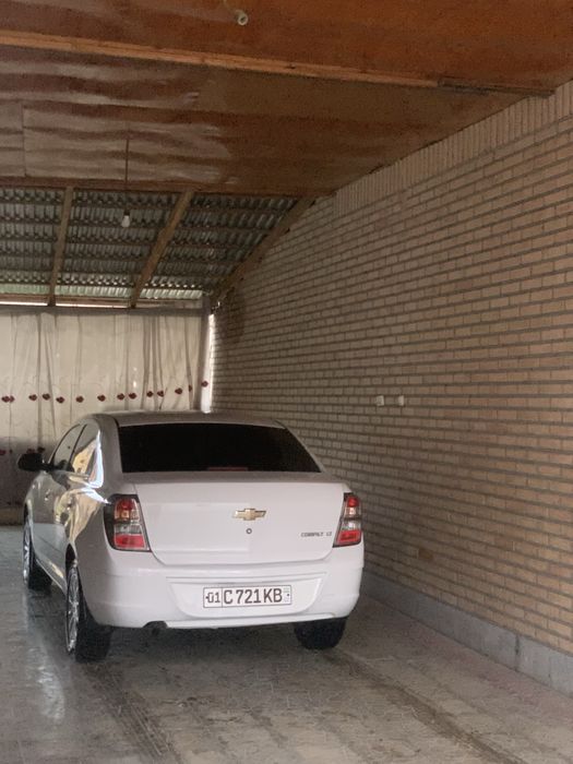 Pazitsiya 2 yili 2018