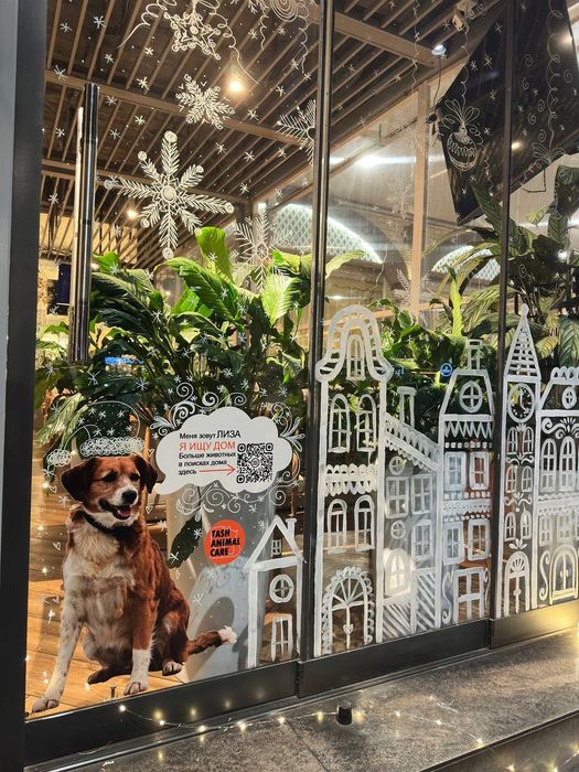 Оформление новогоднее рисунки на стеклах