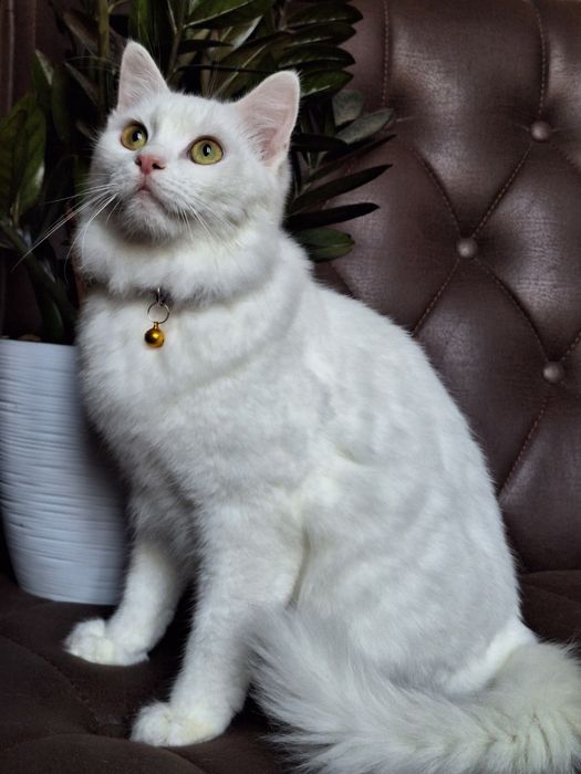 Подари Бэль семью