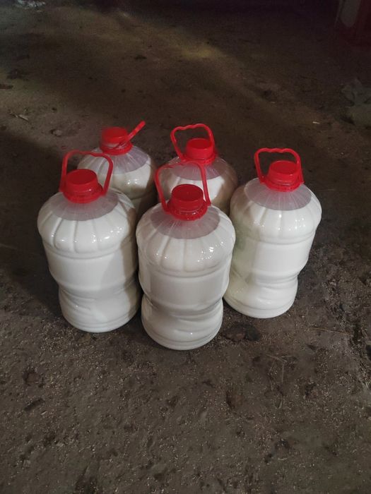 Молоко коровье свежее