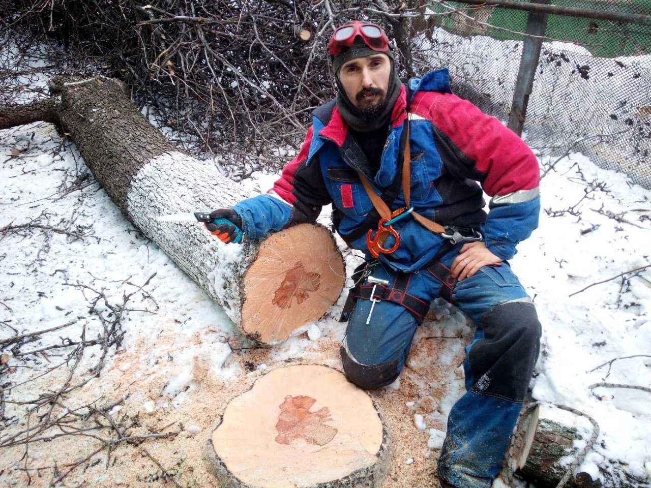 Спил деревьев. Обрезка деревьев.