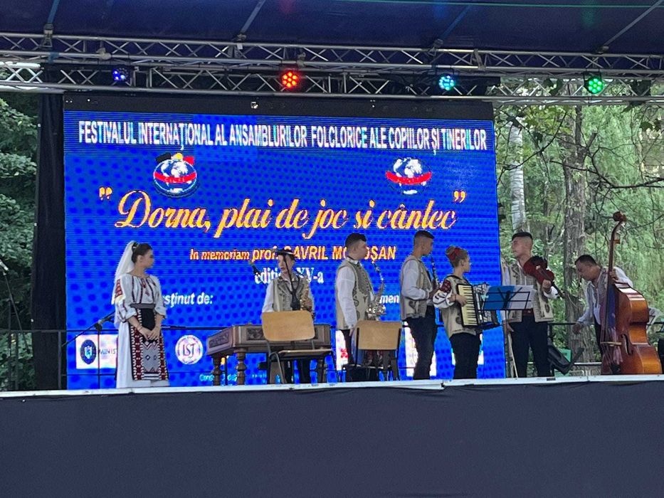 Cursuri canto si instrument, meditatii admitere muzica