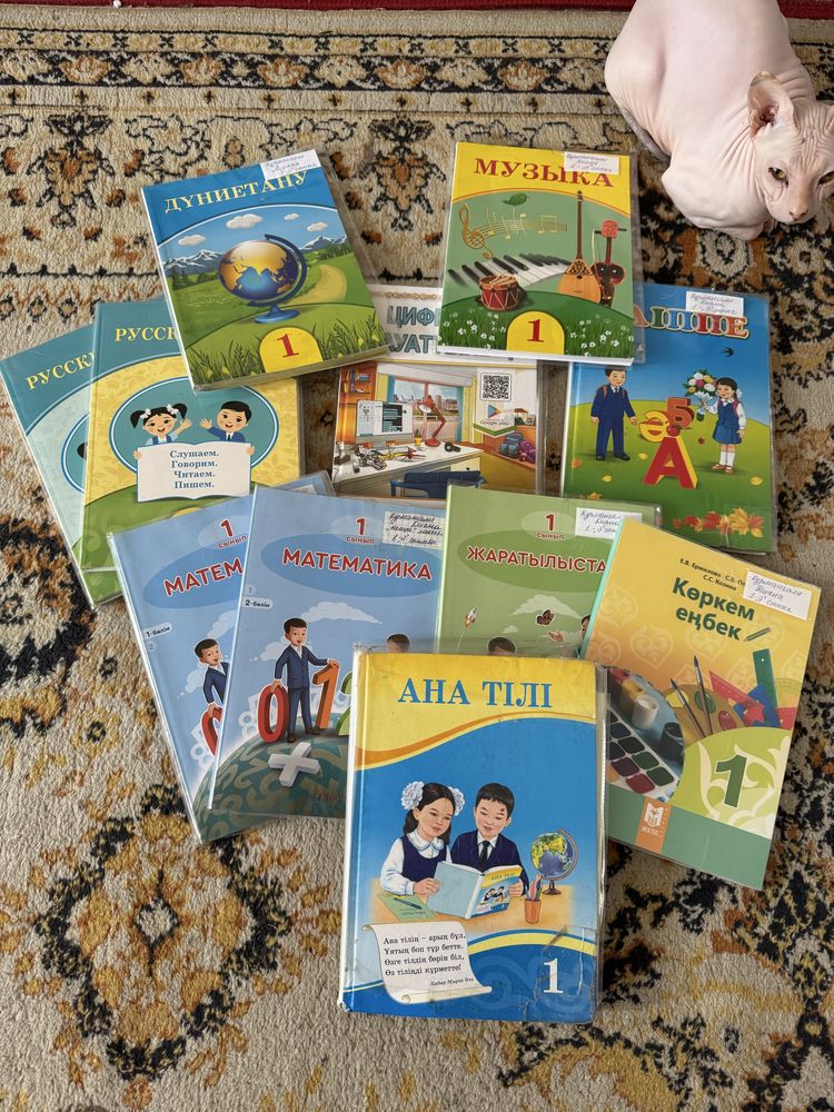 Учебники 1 класс для казахских школ