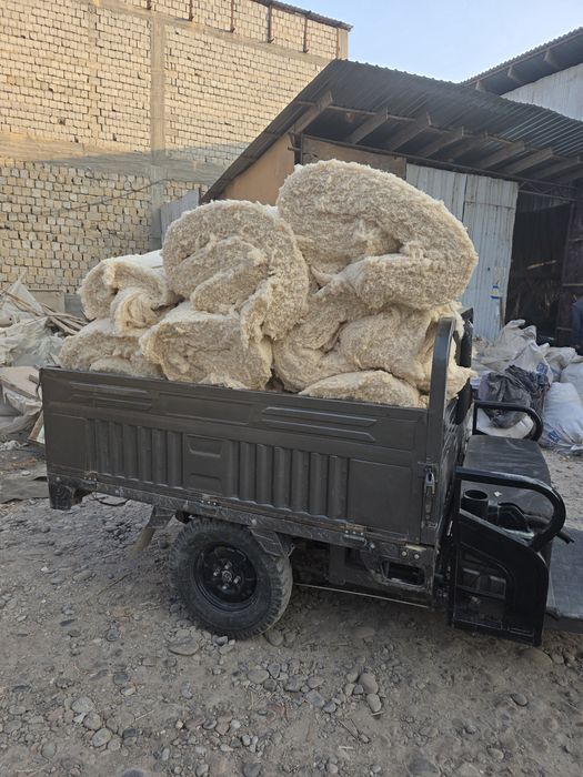 Pasta  titish xizmati - tez, Sifatli va toza