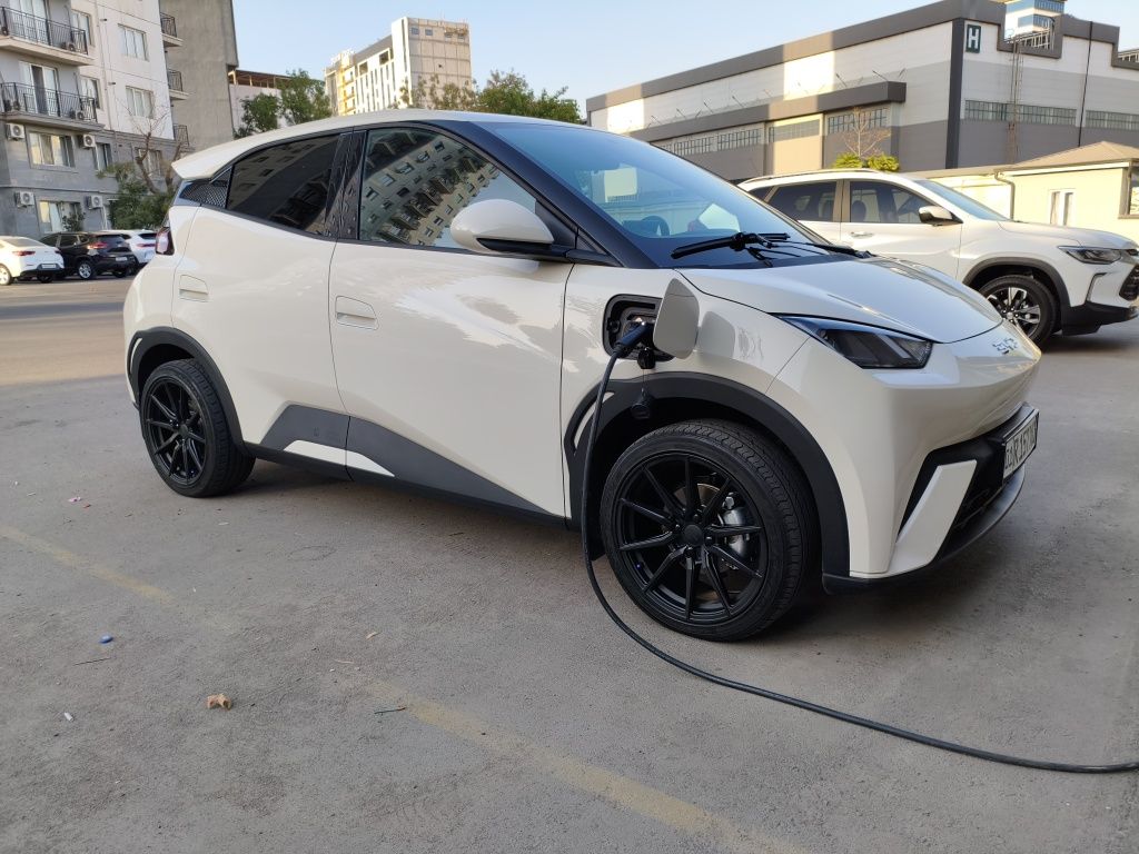 Byd seagull 2024 (официальный)