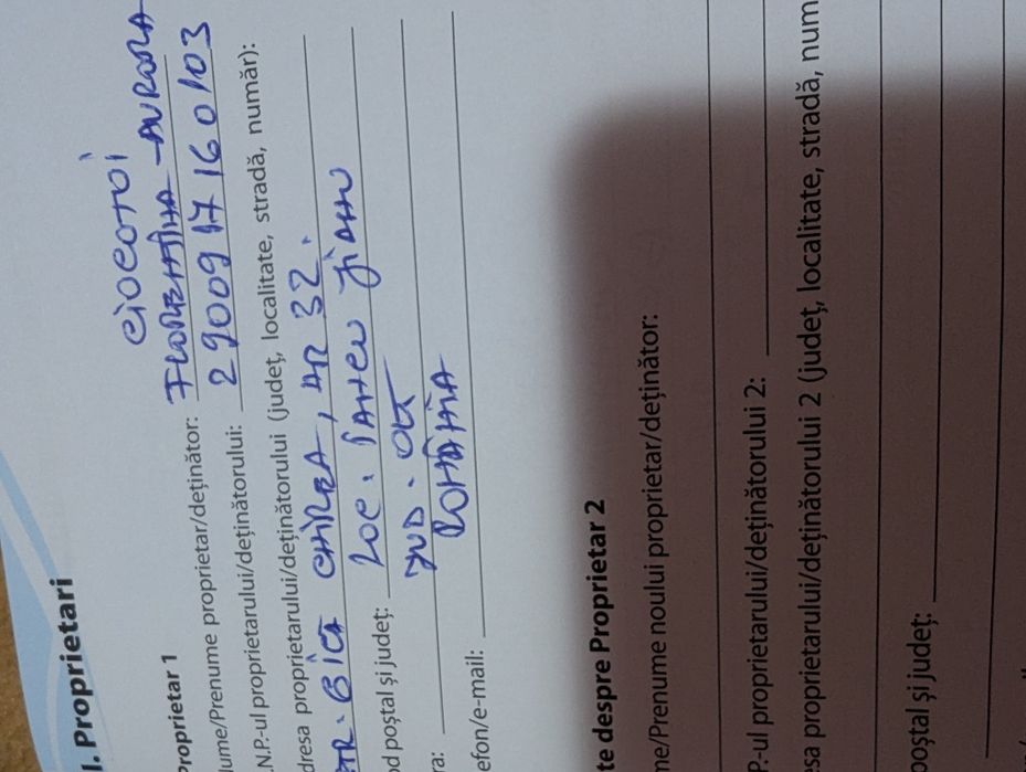 Vând bichoni capucino 400lei negociabil