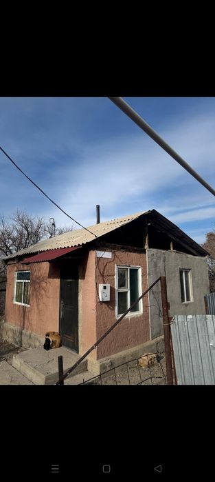 Уйтас Саяжайында уй сатылады тез арада келісім бар