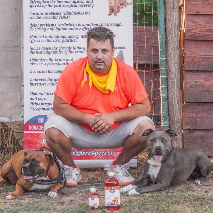 dresajl canin pensiune canina