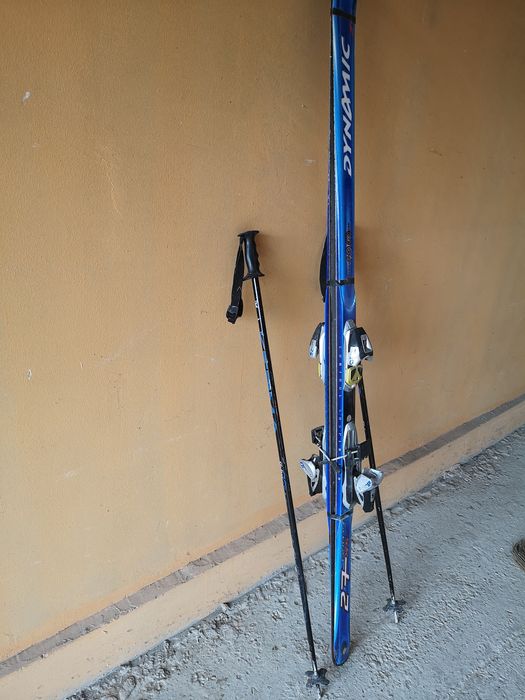 Schiuri DYNAMIC +bețe