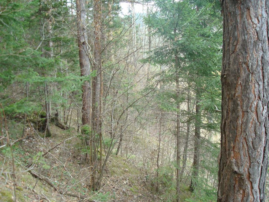 De vânzare teren de 5500 mp situat în Vădurele