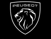 Запчасти Peugeot Пежо 307 Boxer 308 Partner 301 / 206 / 607 / 806 / 40
