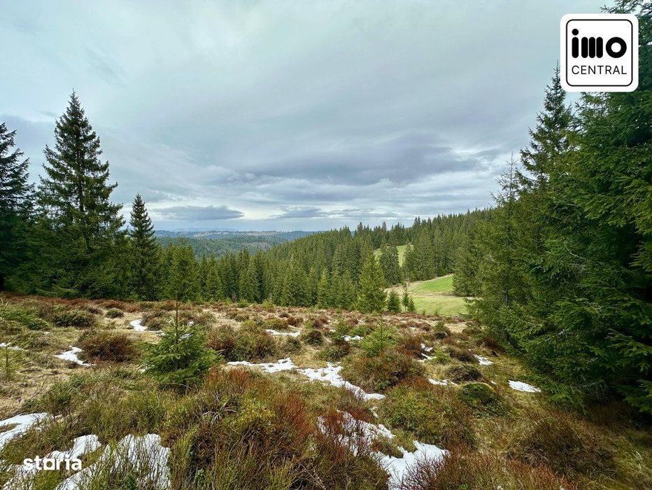 TEREN PARCELABIL, aproape de partia de ski Marisel si Crucea Iancului