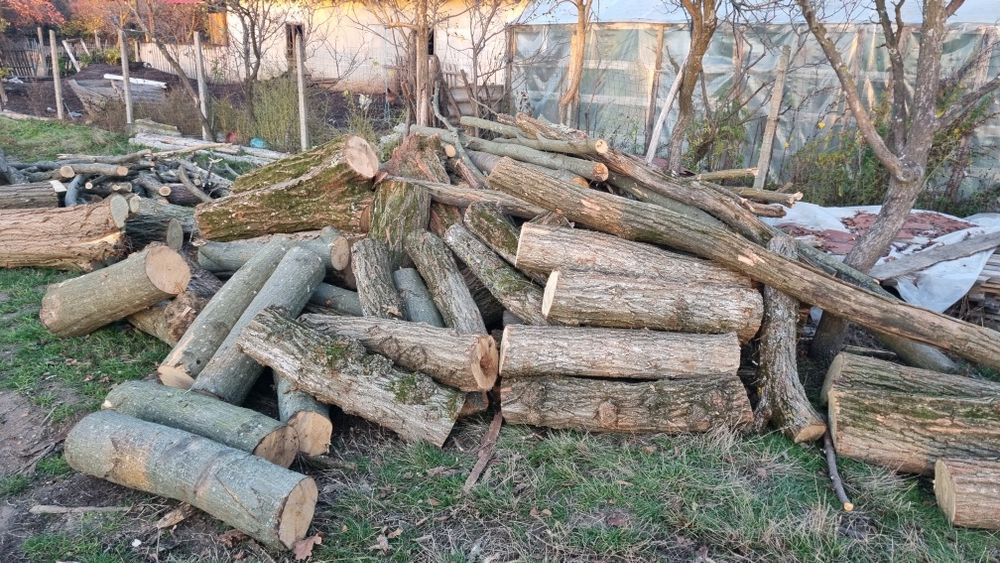 Lemne Smeura salcâm și carpen