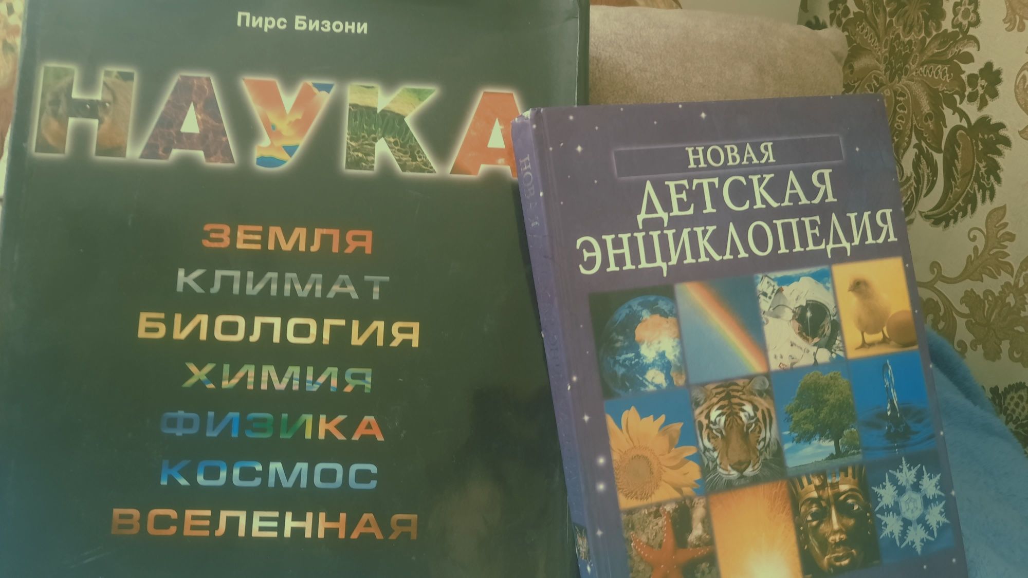 Книга пирс бизони