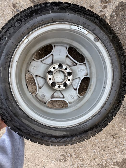 Черепаха. Титановые диски