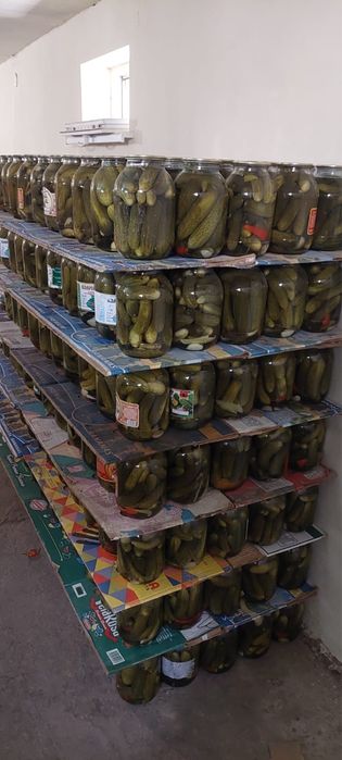 Банки домашние.