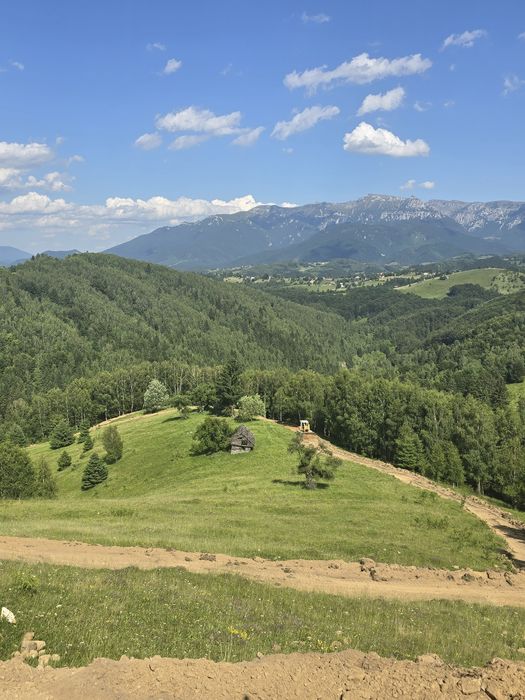 Teren linistit 4 hectare,  Șirnea,  Fundata cu râu pe 2 laterale