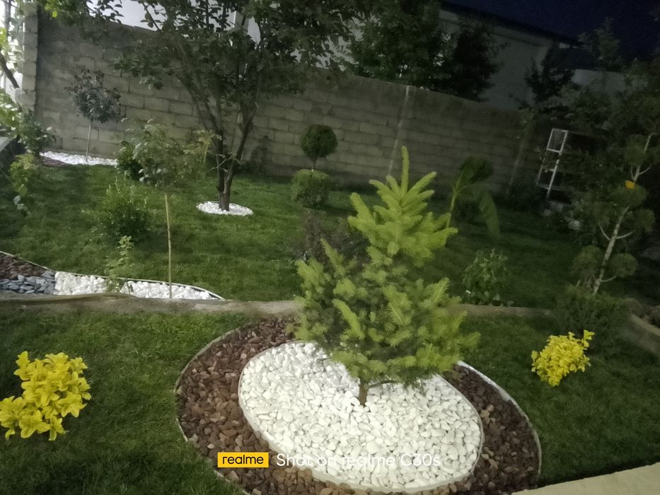 Gazon va landshaft xizmatlari