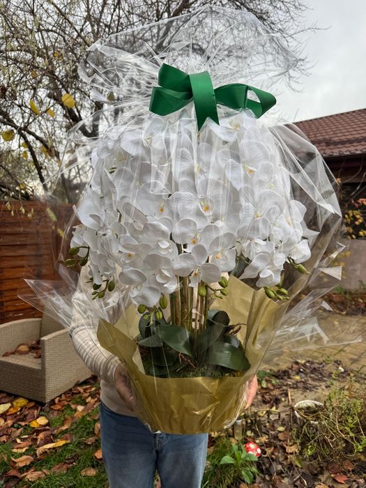 Aranjamente orhidee real touch