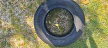225/65 R16 C Bridgestone Duravis Vara
