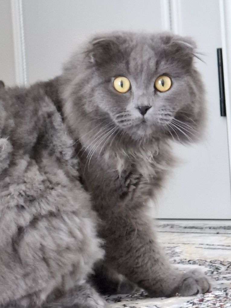Vyazka kelin kerak