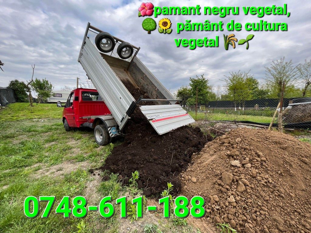 Pamant negru vegetal