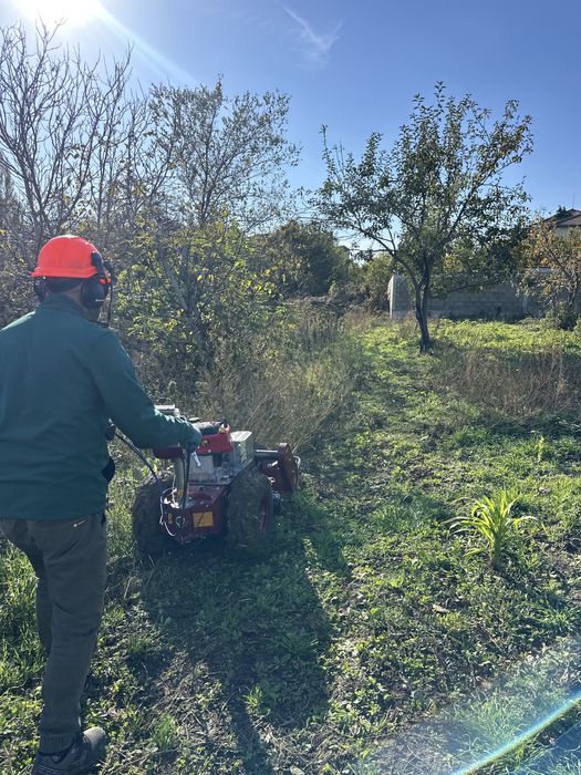 Почистване на дворове, парцели, овощни градини, солари с мулчер