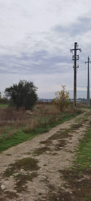 Teren de vânzare Manolache