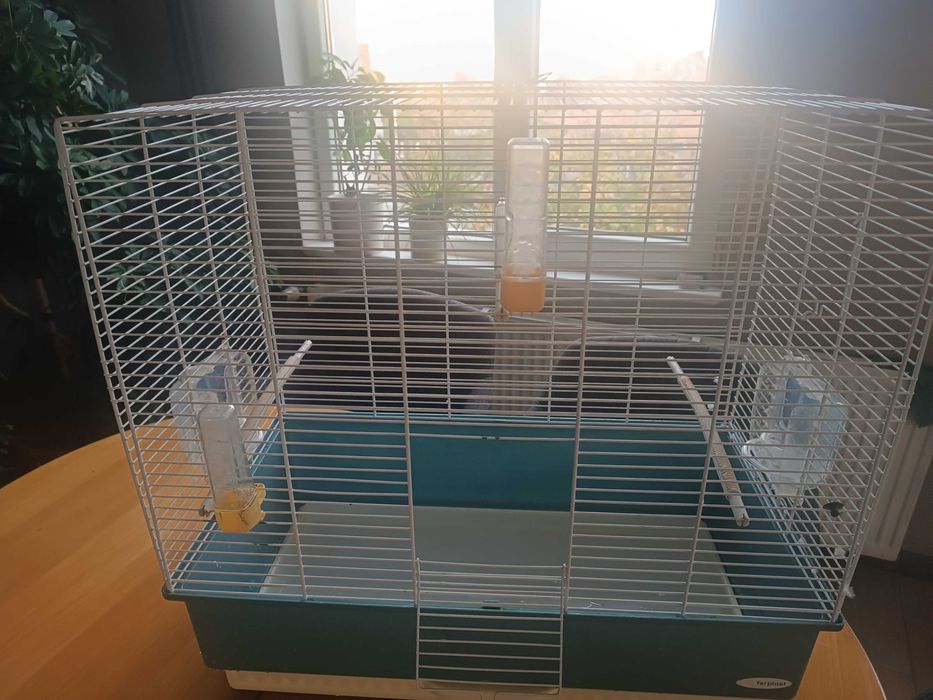 Клетка за папагал