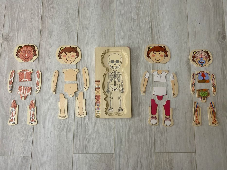 Puzzle multistrat de anatomie-fata