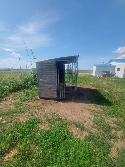 Продам вольер для собак