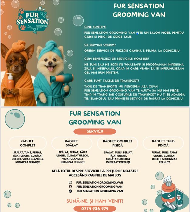 Frizerie canină si felină la domiciliu tau