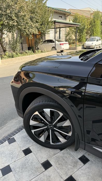 BYD chempion smart full