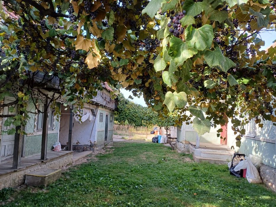 Casa Manastirea Casin, langa Onesti