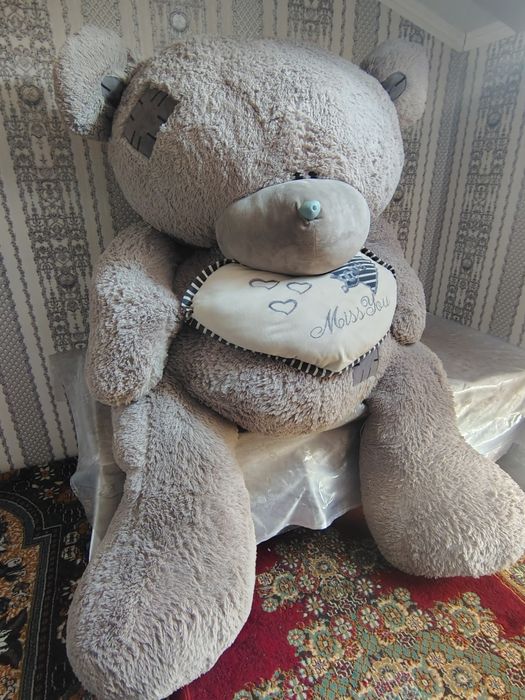 Teddy ayiq arzonga beraman bugun olganga