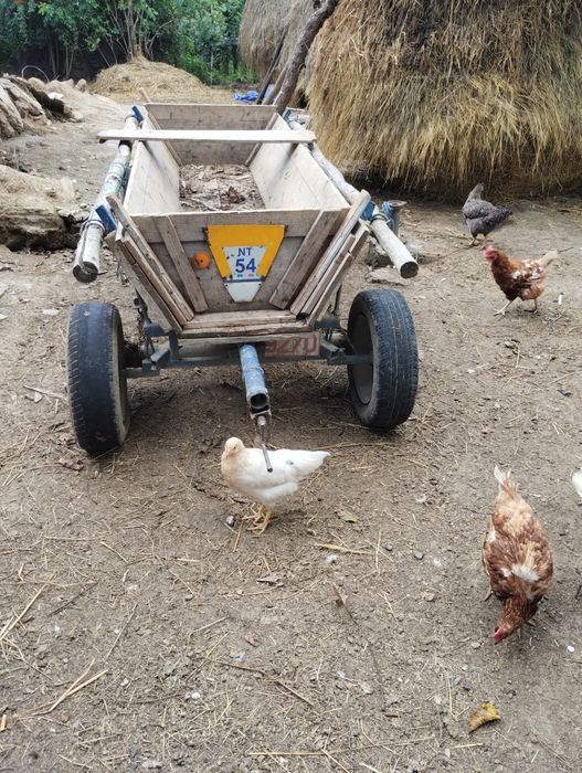 Vând căruță de un cal ușurică