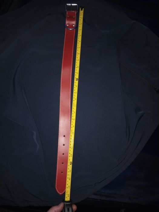 Zgarda pentru câini din piele