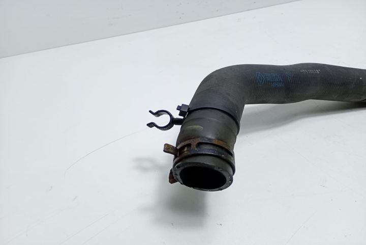 Furtun apa 215010012N Renault Laguna a 3-a generatie