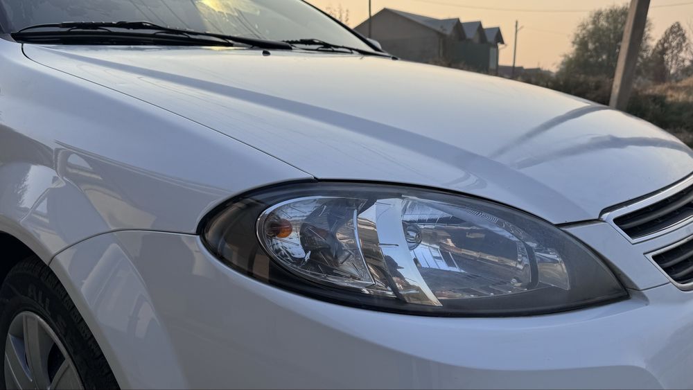 Oq rangli jentra sotaman, Onam haydaganlar