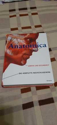 Анатомия на немски език