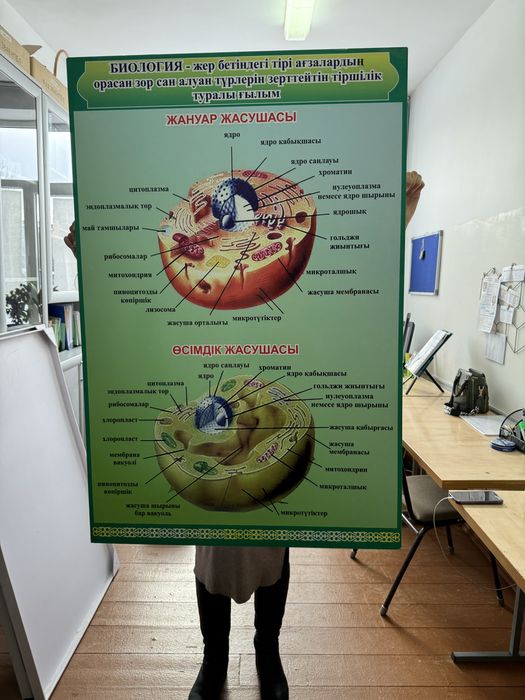 Продам стенд для кабинета биологии на каз яз